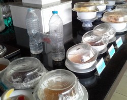 sirsiu-gaudykle-is-plastikiniu-buteliu-wasps- catcher- made-of plastic-bottles-0