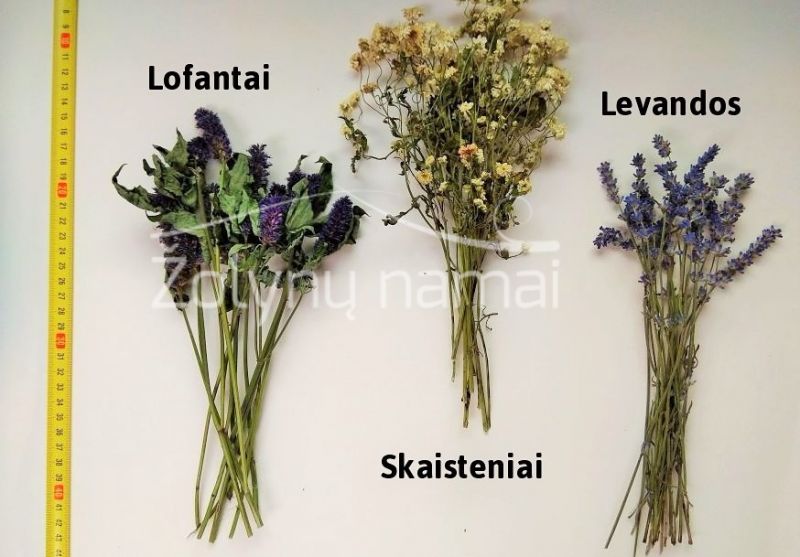Džiovintos-kinmėtės-skaisteniai-levandos
