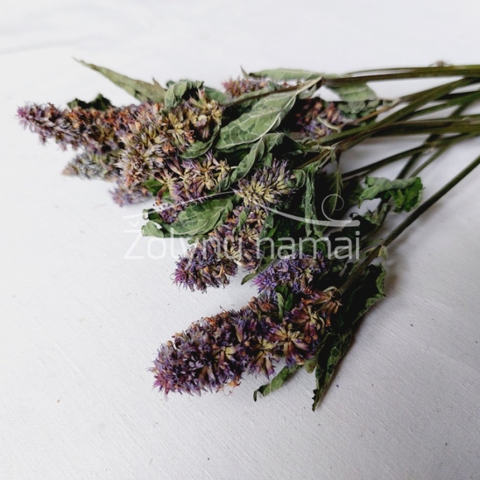Anyziniai-lofantai-floristikai-puokstems-zolynu-namai-www