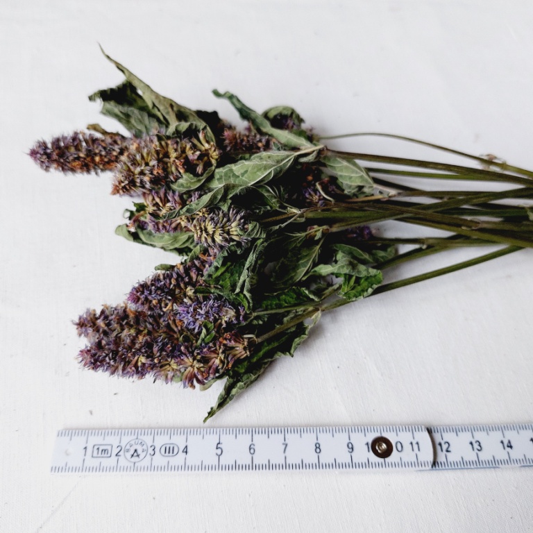 Anyziniai-lofantai-florstikai-aromatiniai-augalai-zolynu-namai-w