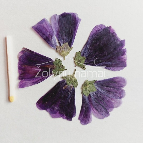 miskines-dedesvos-ziedai-varpeliai-valgomos-geles-sausos-dziovintos-melynos-pressed-flowers