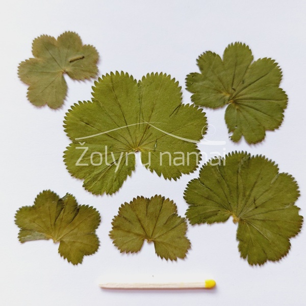 rasakilos lapeliai-sausi-dziovinti-puosybai-maistui-atvirutems-paveikslams-pressed-flowers