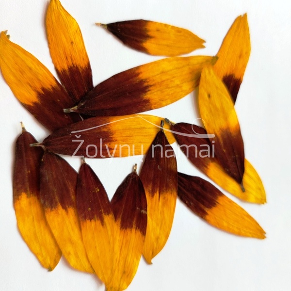 rudbekijos-ziedlapiai-atvirutems-paveikslams-zvakems-dervos-darbams-geltoni-pressed-flowers