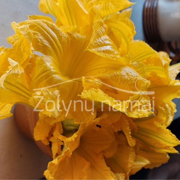 zn-cukiniju-agurociu-moliugu-ziedai-valgomi-ziedai